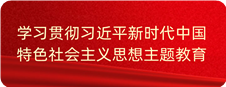 学习贯彻习近平新时代中国特色社会主义思想主题教育