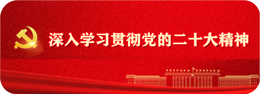 深入学习贯彻党的二十大精神